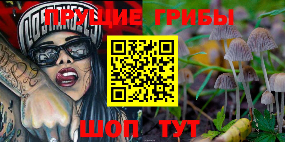 Псилоцибиновые грибы MAGIC MUSHROOMS  Вход с VPN  Галлюциногенные грибы Psilocybe  Новочеркасск 