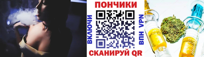 Конопля сатива  Новочеркасск 